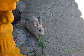 Pousada Porto do Sol