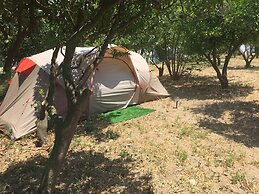Bodrum Masali Camping - Hostel