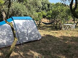 Bodrum Masali Camping - Hostel