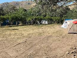 Bodrum Masali Camping - Hostel