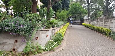 AIN Guest House