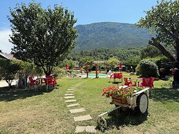 Rose des Pyrénées