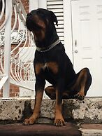 Mobay Kotch - Hostel