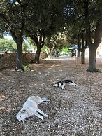 Ai Pilieri di Bagnoli