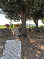 Ai Pilieri di Bagnoli