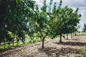 Ai Pilieri di Bagnoli