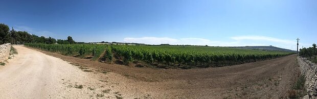 Ai Pilieri di Bagnoli