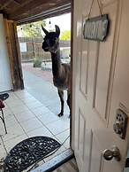 A Barn at the Quarry