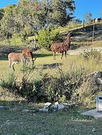 A Barn at the Quarry