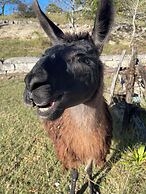 A Barn at the Quarry