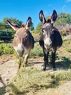 A Barn at the Quarry