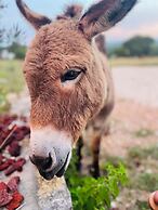A Barn at the Quarry