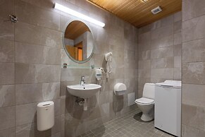 Viiking Spa Hotel