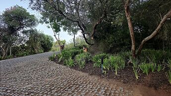 Oubaai Villa By Raw Africa Collection