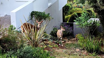 Oubaai Villa By Raw Africa Collection