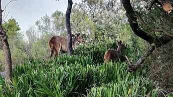 Oubaai Villa By Raw Africa Collection