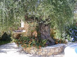 Olive Tree Villas