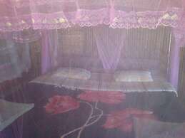 Lacam Lodge - Hostel