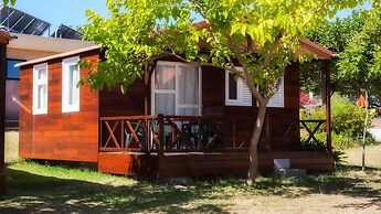 Camping Paisaxe II