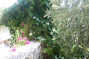 Apartments and Rooms LEA