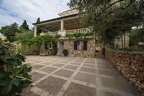 Apartments and Rooms LEA