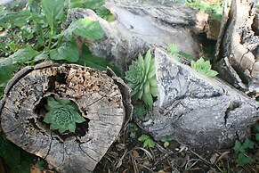 Apartments and Rooms LEA