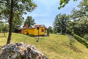House Ivor