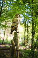 Larkhill Tipis and Yurts