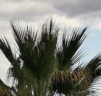 Villa Askamnia and Suites