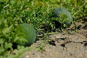 Seva Guesthouse in Byurakan