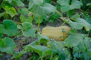 Seva Guesthouse in Byurakan