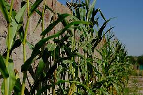 Seva Guesthouse in Byurakan