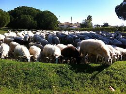 The Birds Nest Luxury B&B