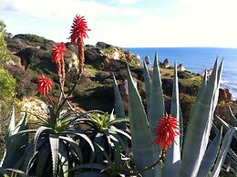 The Birds Nest Luxury B&B