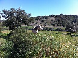 The Birds Nest Luxury B&B