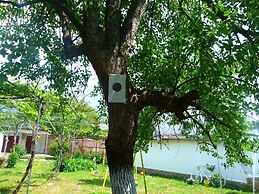 Villa Valley of Roses