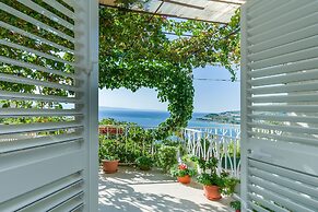 Apartment and Rooms Tatjana