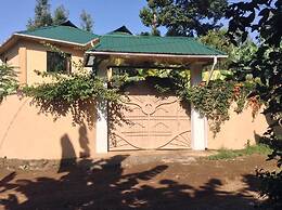 Papagei Home