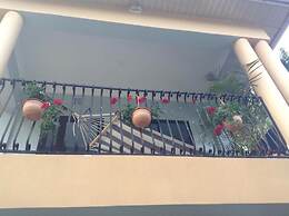 Papagei Home