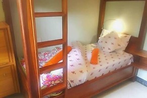 Papagei Home
