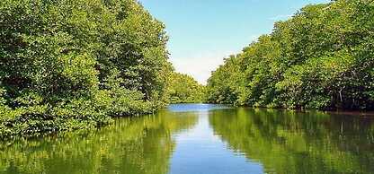 Kayu Manis Guest House Lembongan