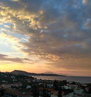 Olive Tree Apartments