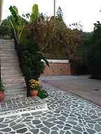 Olive Tree Apartments