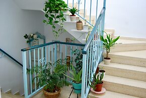 El patio del limonero
