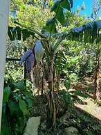 Calathea Lodge Monteverde