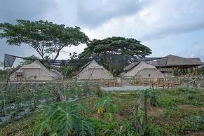 The Acacia Glamping Park