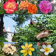 Ayutthaya Garden River Home