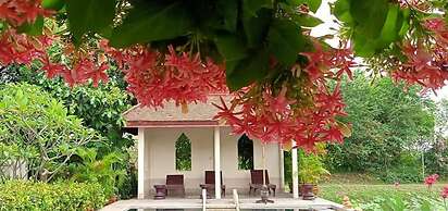 Ayutthaya Garden River Home