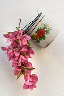 Sitio dos Cavaleiros Apartments