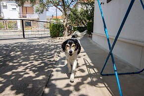 Apartment and Rooms Ruza